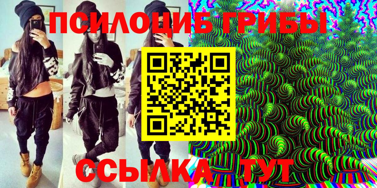 Галлюциногенные грибы Magic Shrooms  где купить наркоту  Кудымкар  Псилоцибиновые грибы Psilocybine cubensis  Вход с VPN 